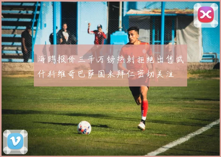 海鸥报价三千万镑热刺拒绝出售武什科维奇巴萨国米拜仁密切关注